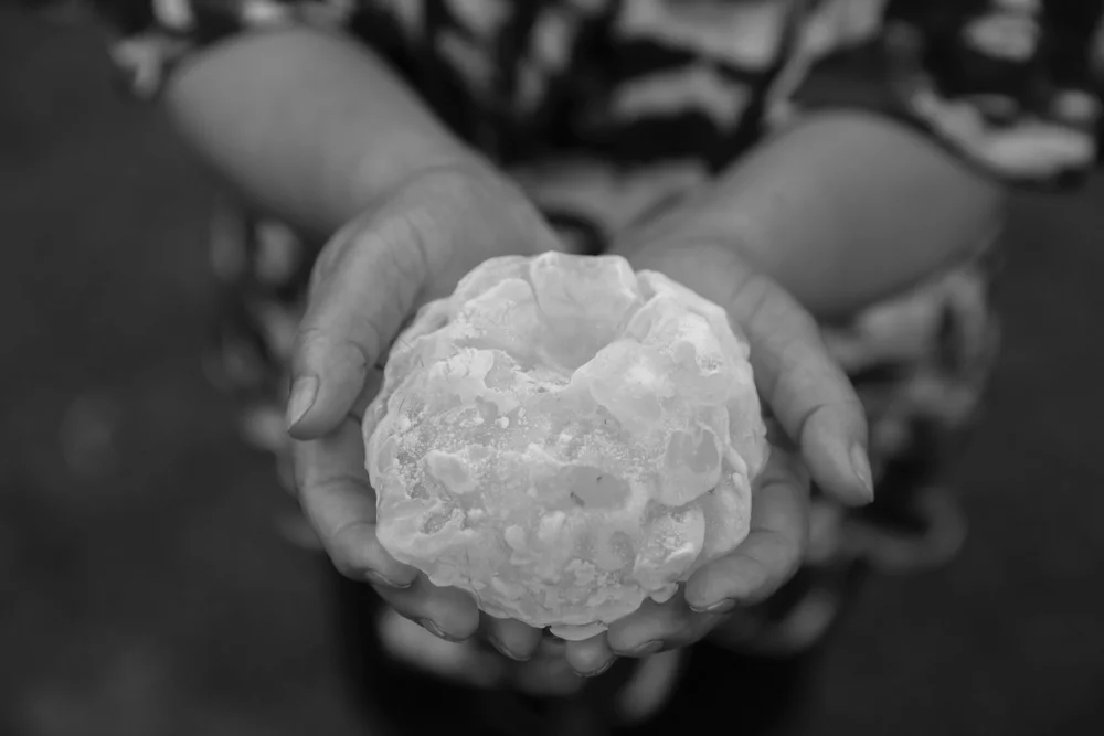 Maria Natividad Garay holds a hailstone she recovered outside her home in Villa Carlos Paz, Argentina. Mitch Dobrowner for The New York Times
